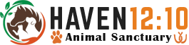 Haven 12:10 Animal Sanctuary