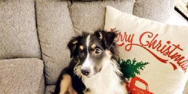 137027015_215884250020968_4087698649406611098_n