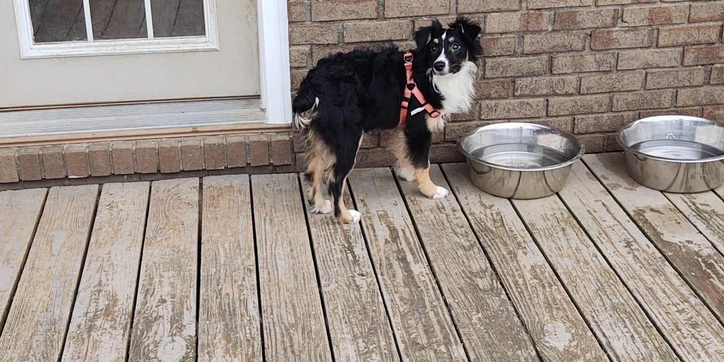 IMG_20210108_104618475