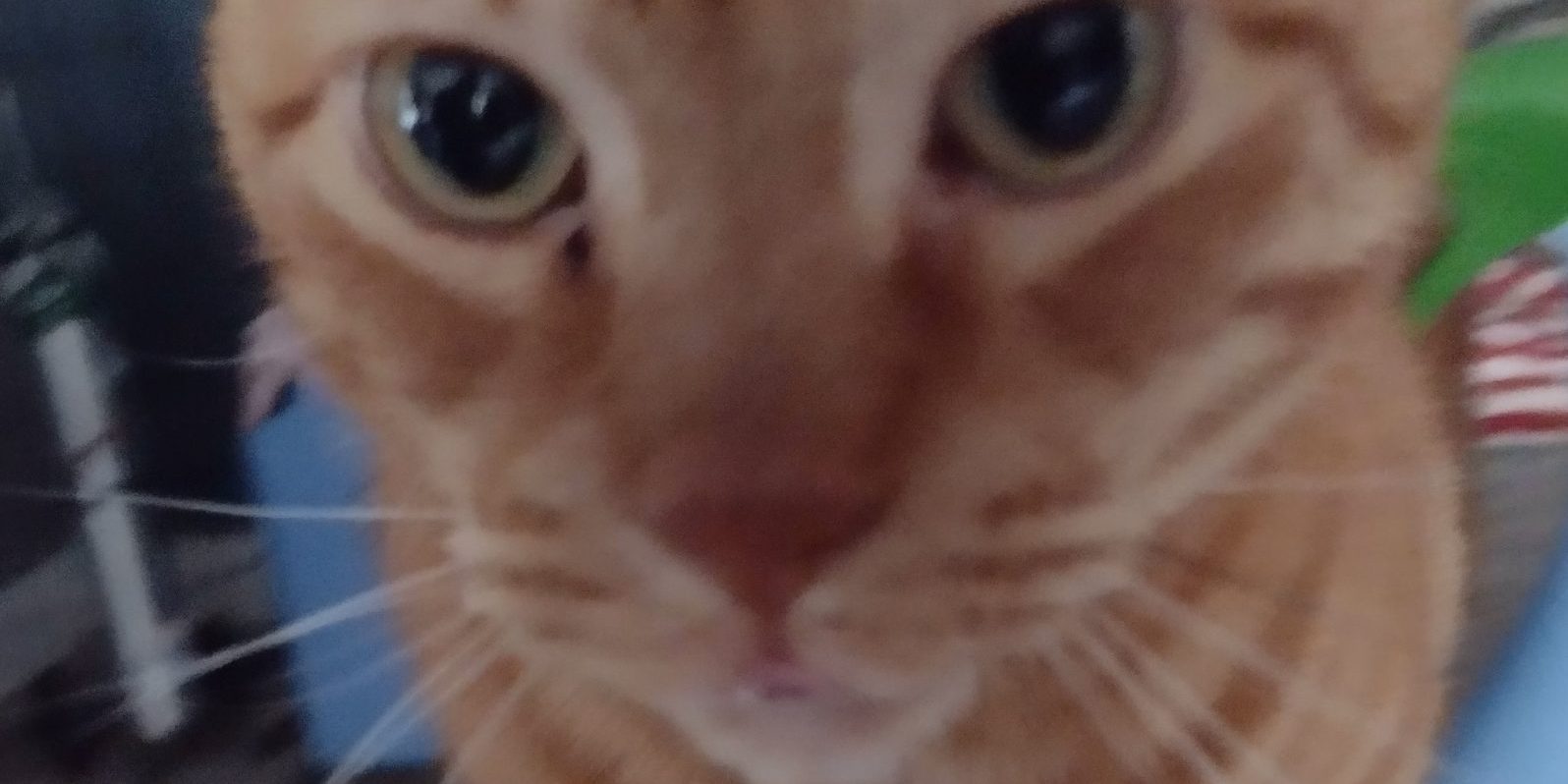 IMG_20220907_093417546