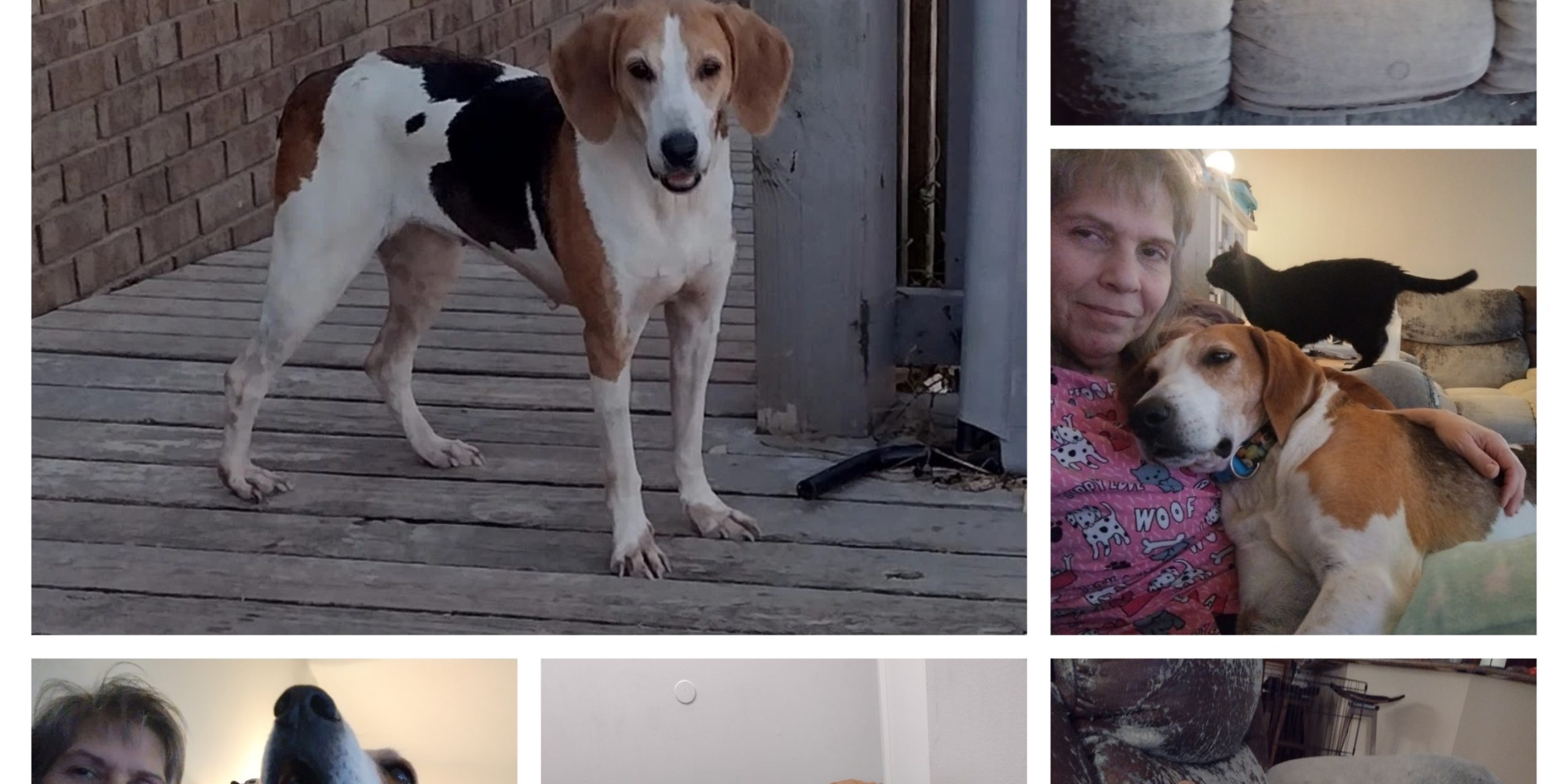 20230201_091811-COLLAGE