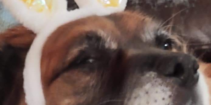 FB_IMG_1680890669054