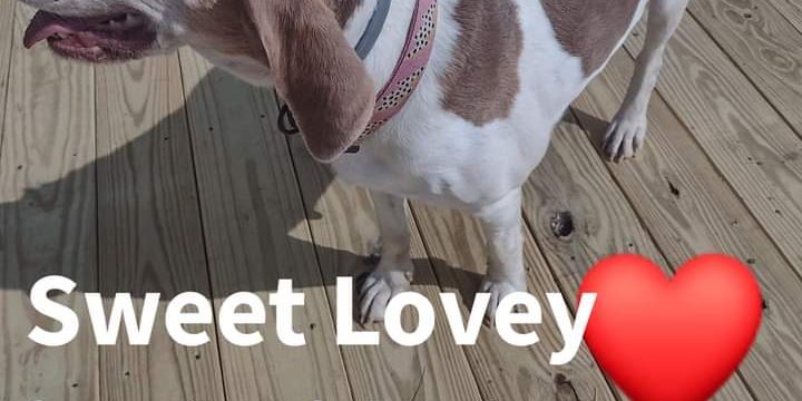 FB_IMG_1686750735874