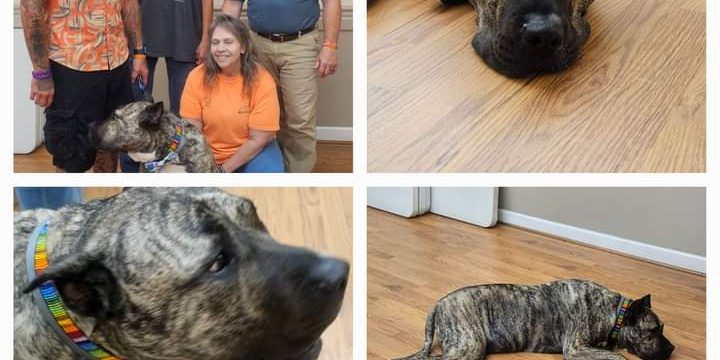 FB_IMG_1689335545272