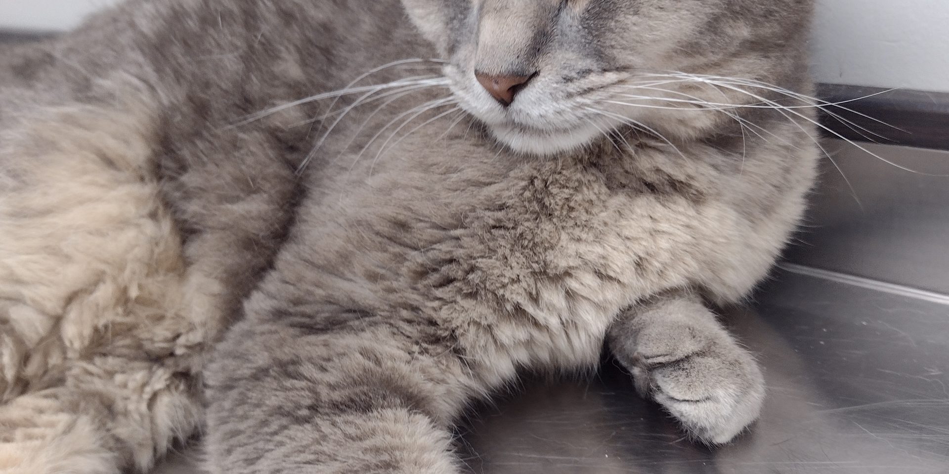 IMG_20230802_100726071