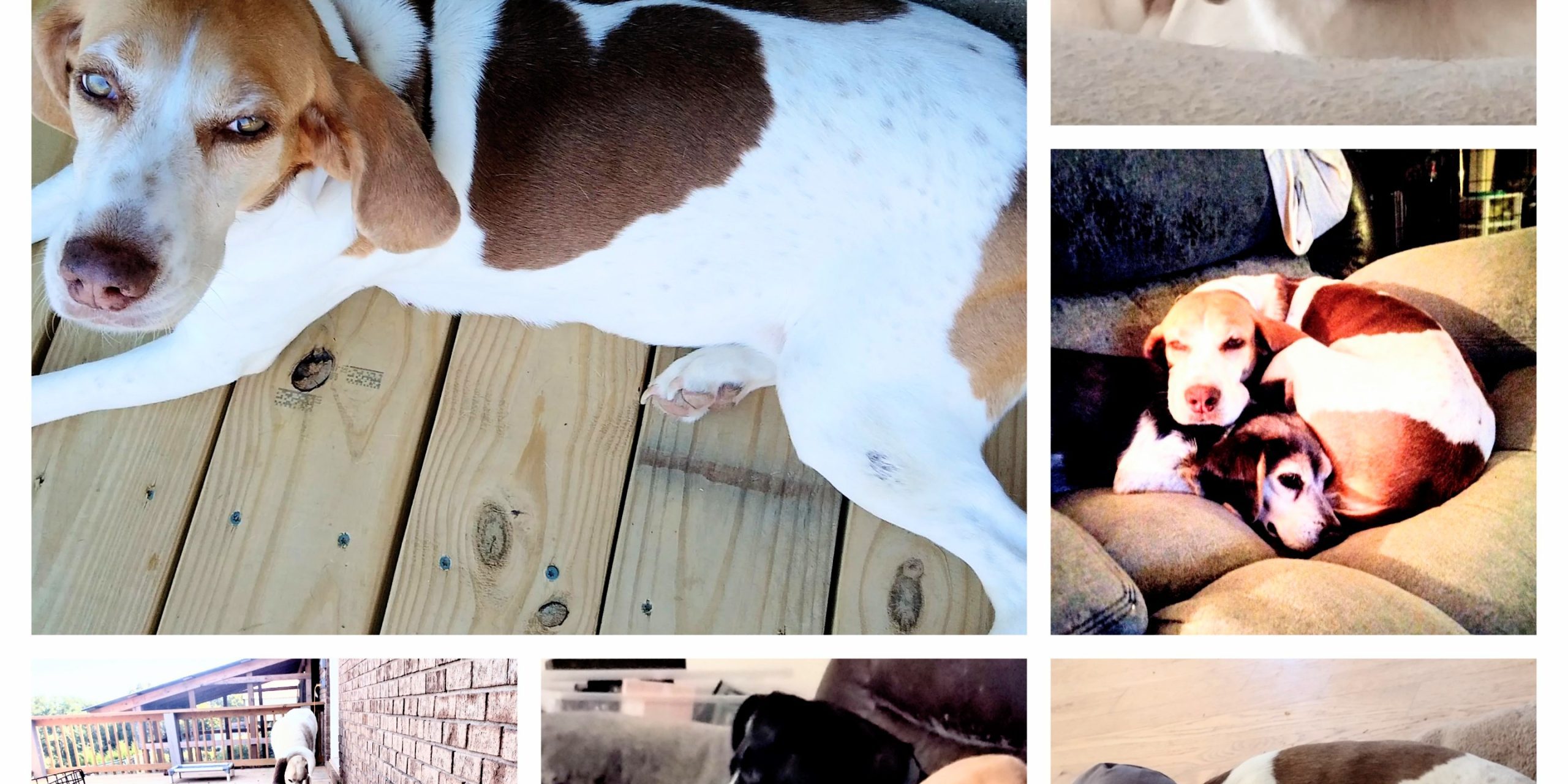 20231201_115827-COLLAGE