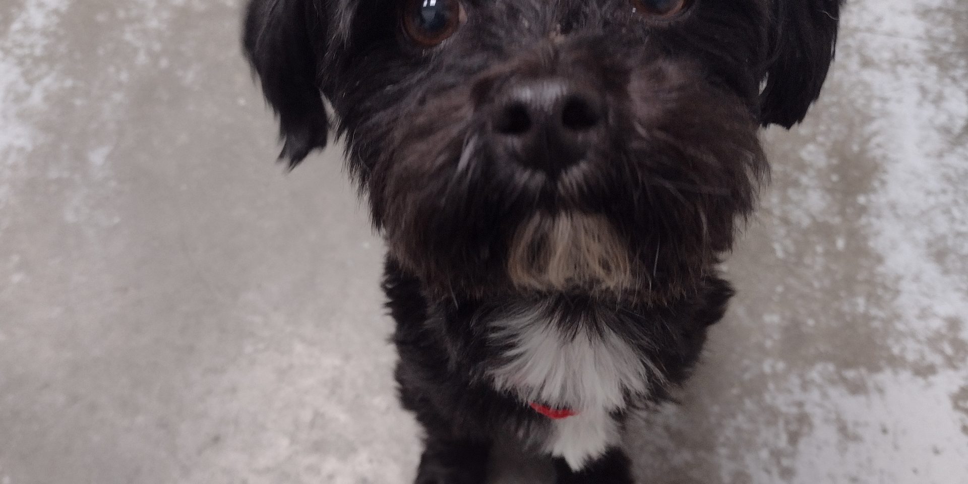 IMG_20240202_140409615