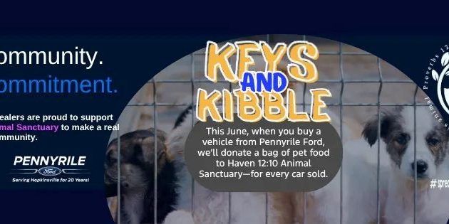 Keys and Kibble