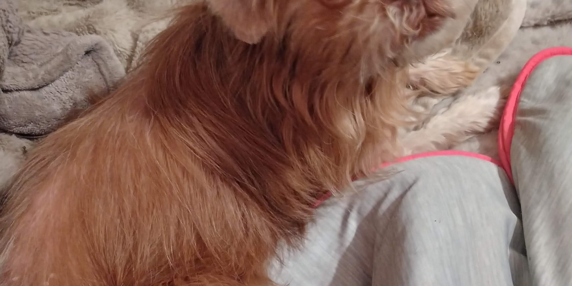 Message_1744890300746